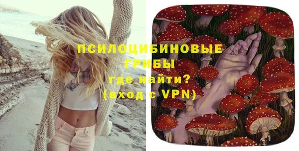 шишки Абдулино
