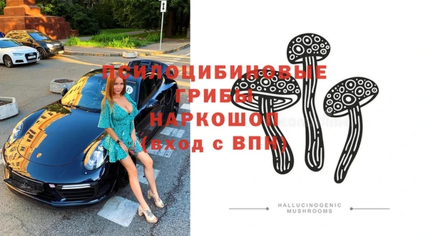 стафф Абаза