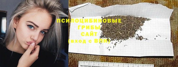 шишки Абдулино