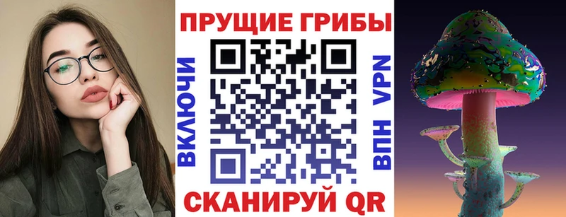 Галлюциногенные грибы GOLDEN TEACHER закладка Починок
